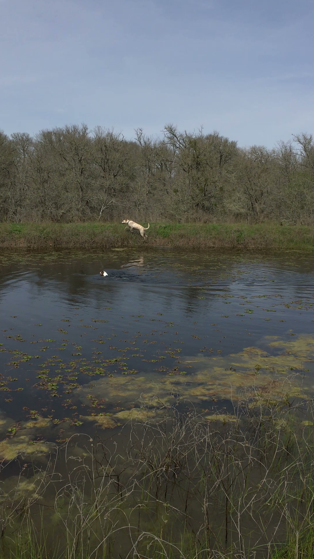 0 Oil Field Road Lockhart, TX 78644 - Photo 6 of 39