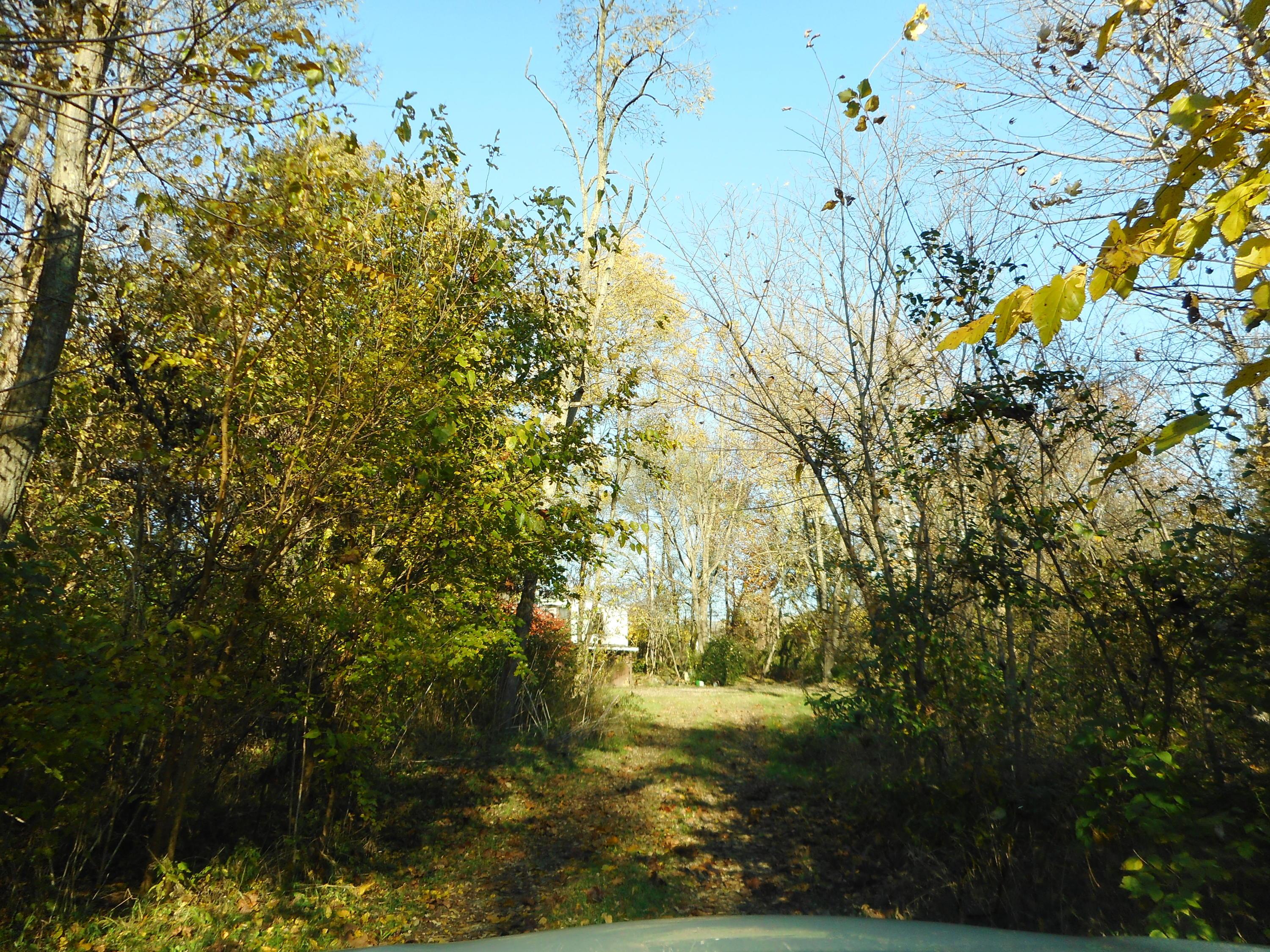 8860 Bell Station Road Circleville, OH 43113 - Photo 4 of 8 Gallery Image 4