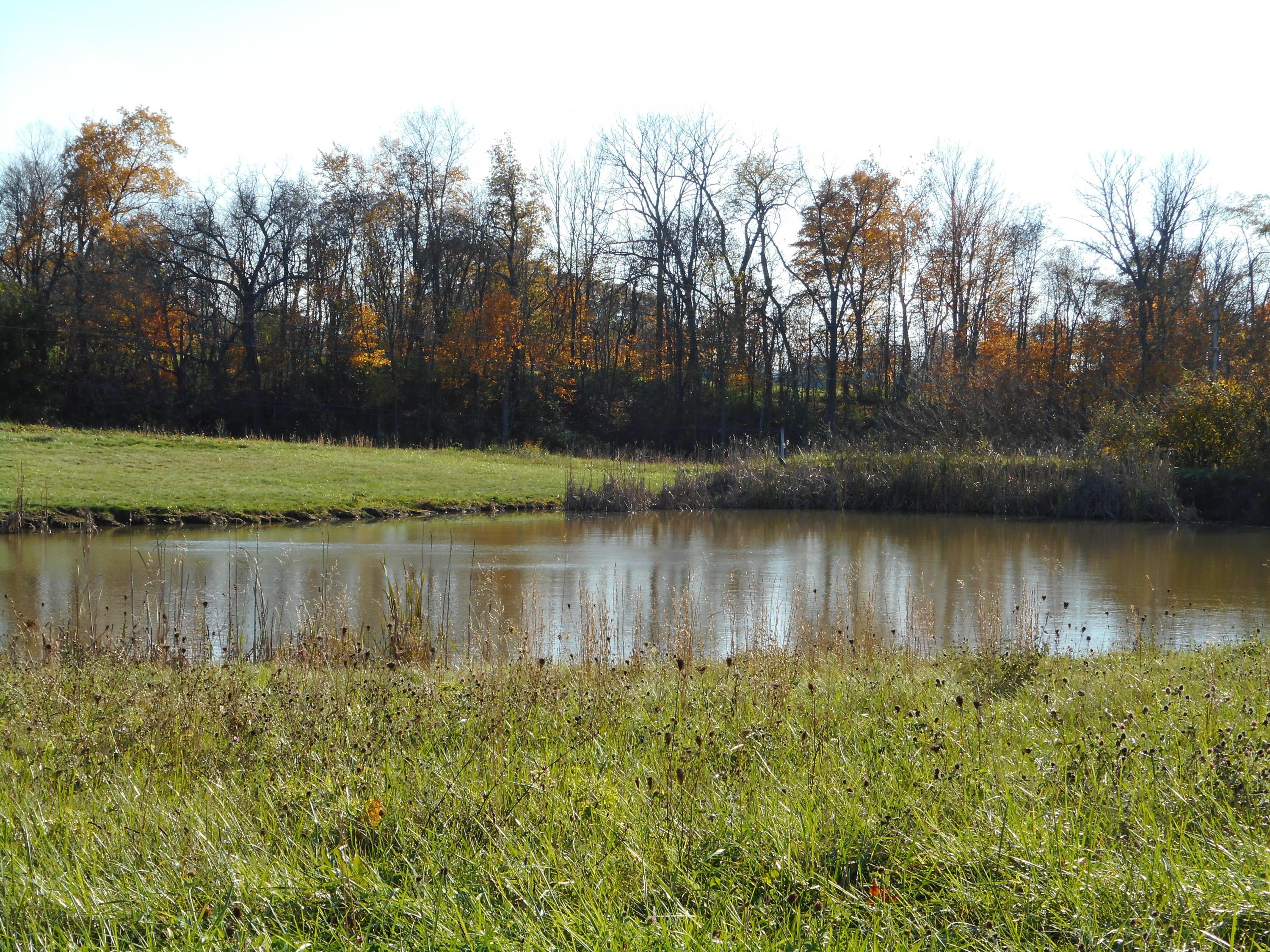 8860 Bell Station Road Circleville, OH 43113 - Photo 5 of 8 Gallery Image 5