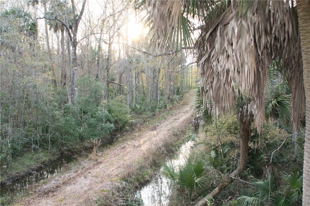 0 Sawtooth Ridge Callahan, FL 32011 - Photo 12 of 19 Gallery Image 12