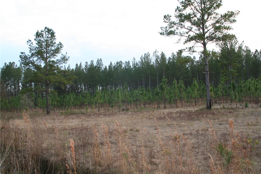 0 Sawtooth Ridge Callahan, FL 32011 - Photo 16 of 19 Gallery Image 16