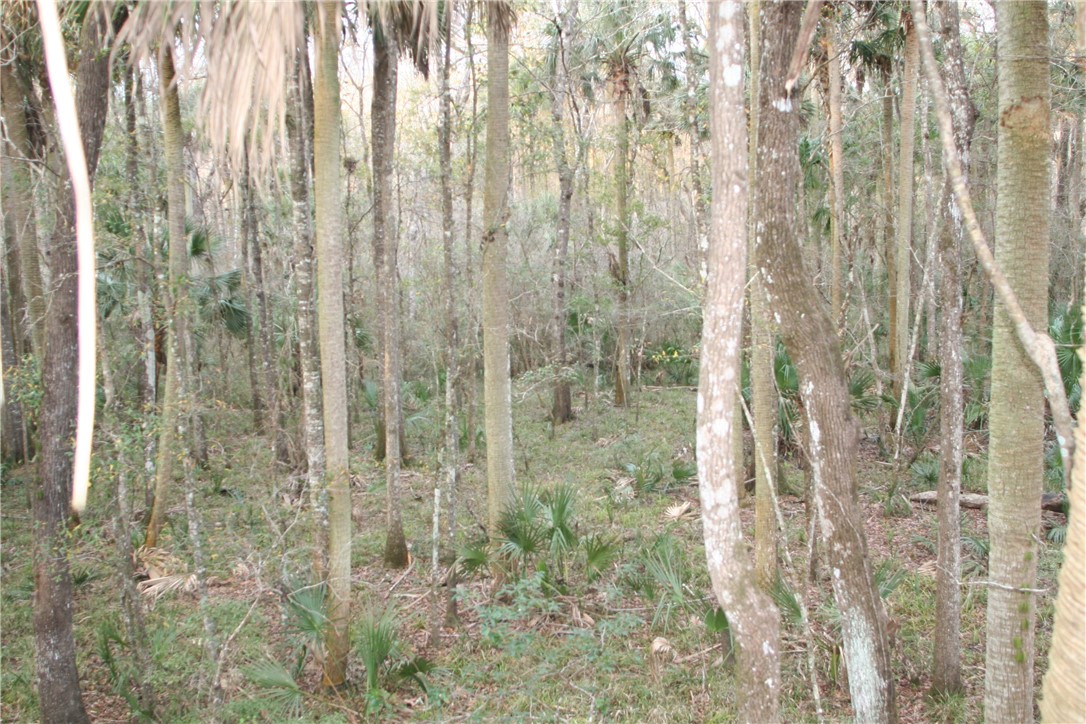 0 Sawtooth Ridge Callahan, FL 32011 - Photo 18 of 19 Gallery Image 18
