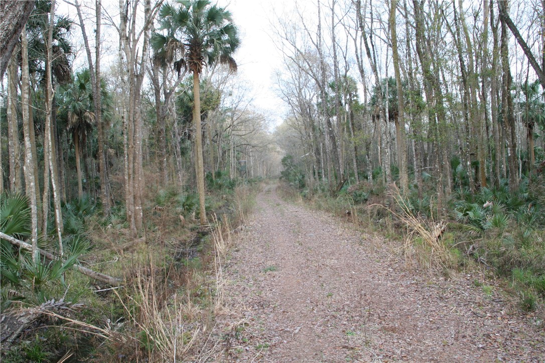 0 Sawtooth Ridge Callahan, FL 32011 - Photo 9 of 19 Gallery Image 9