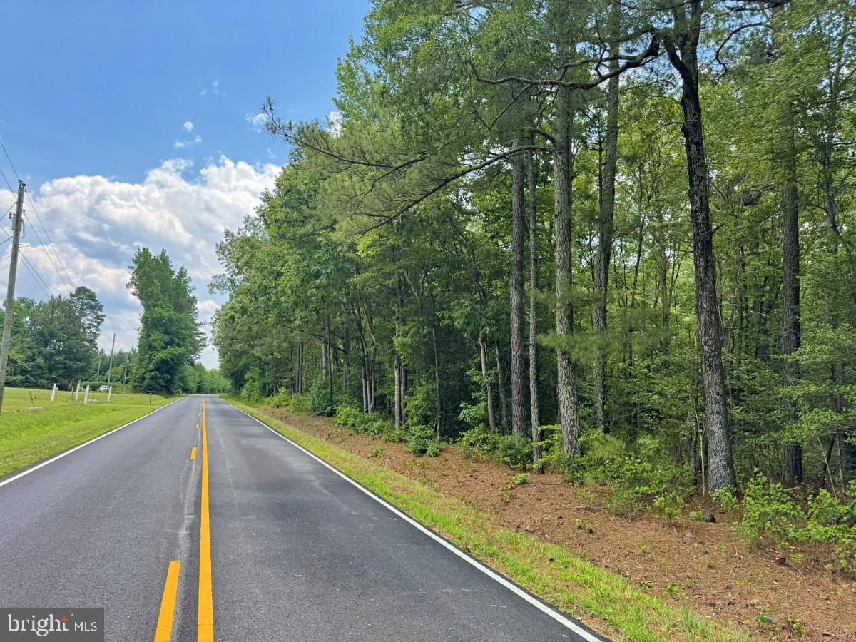 Salisbury Rd Spring Grove Spring Grove, VA 23881 - Photo 14 of 23