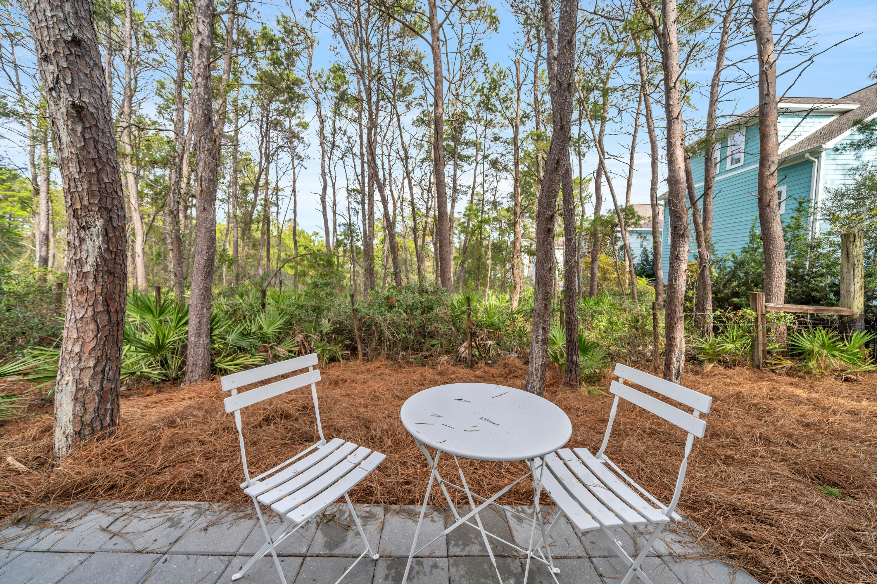 178 Valdare Ln Inlet Beach Inlet Beach, FL 32461 - Photo 20 of 83 017-018-DSC01712-4050x2700