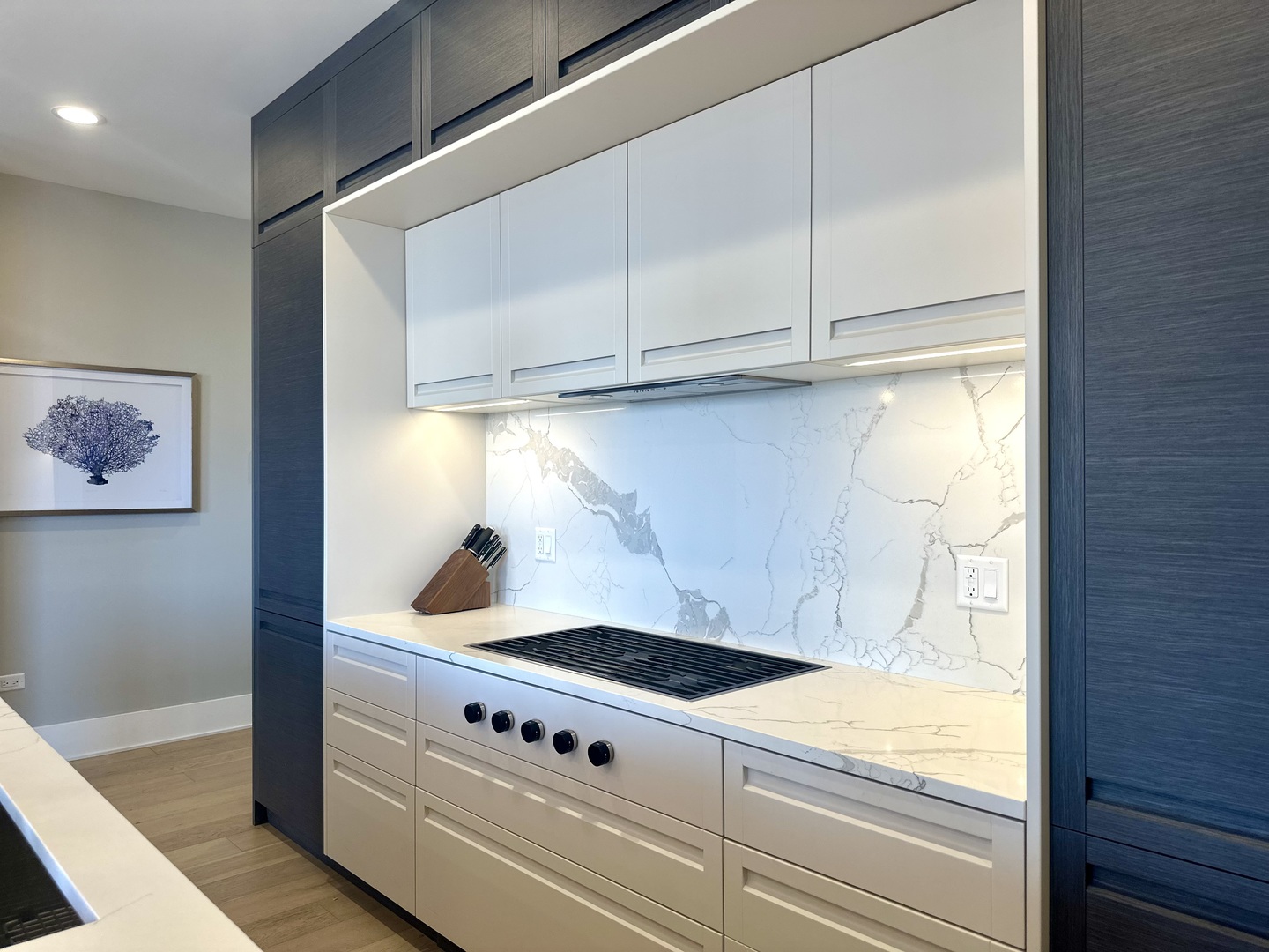 1157 West Erie Street, Unit 5W Chicago, IL 60642 - Photo 7 of 30 a kitchen with granite countertop white cabinets and white appliances
