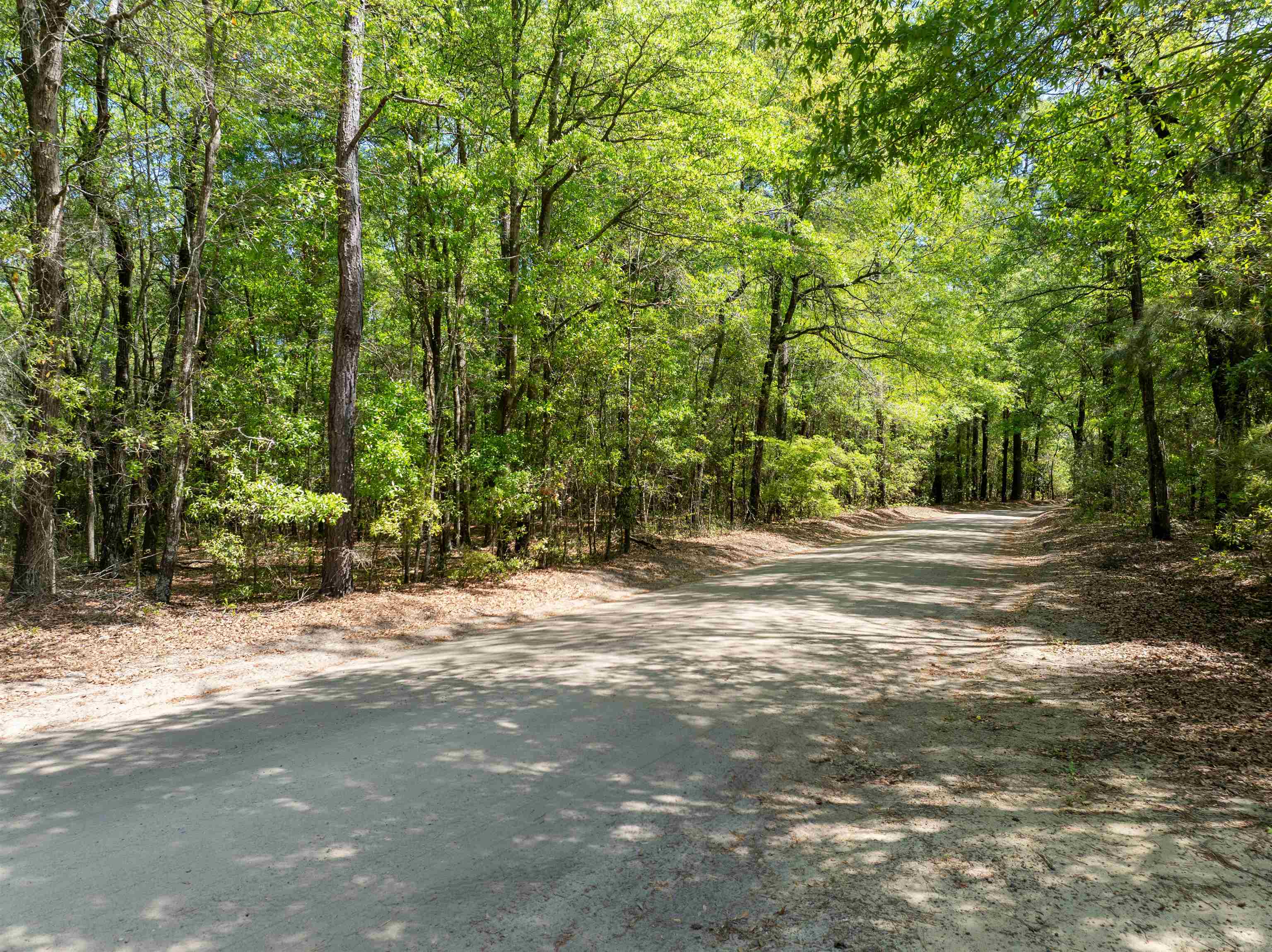 4 Forest Place Marion, SC 29571 - Photo 13 of 13