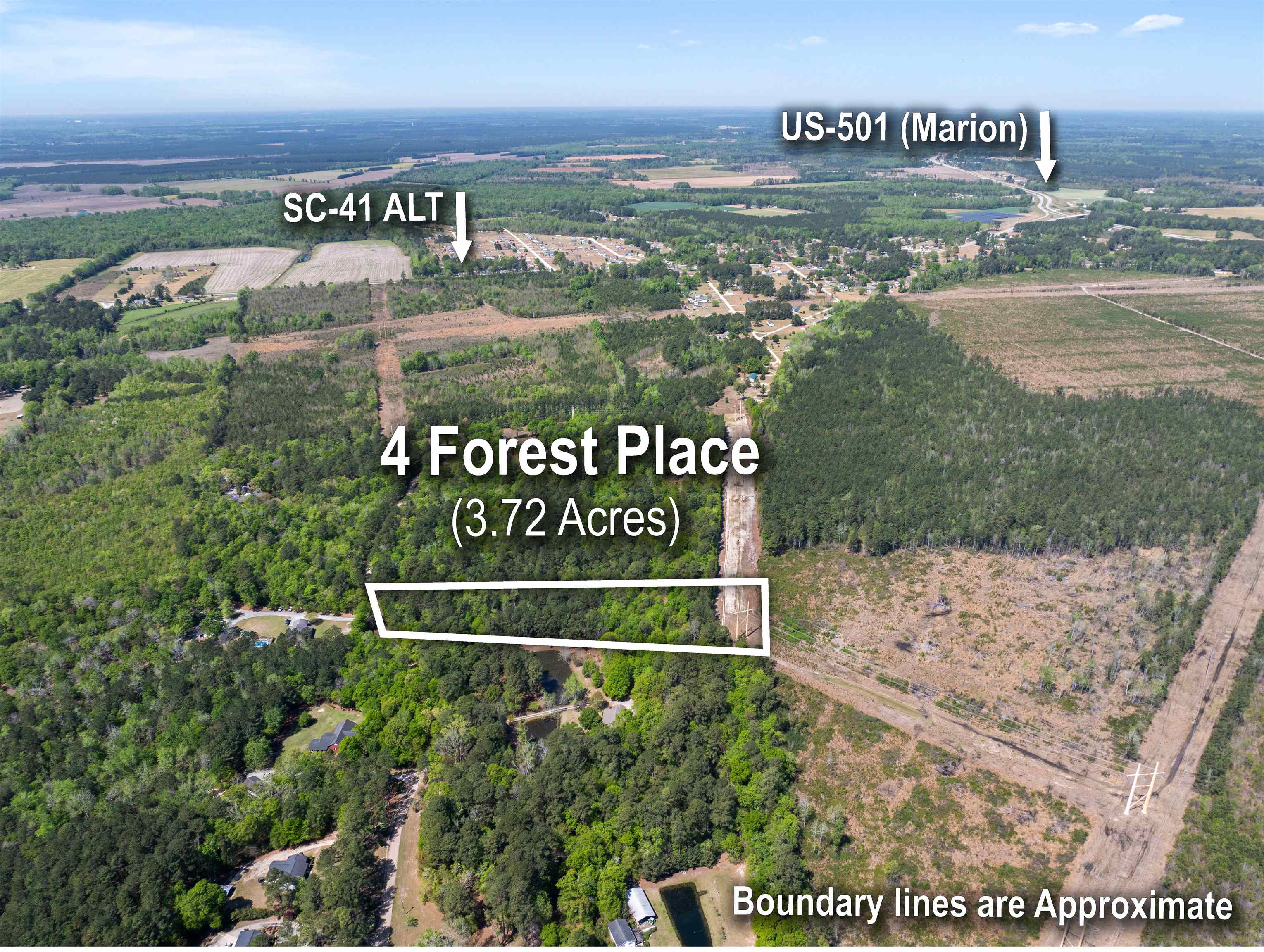 4 Forest Place Marion, SC 29571 - Photo 2 of 13