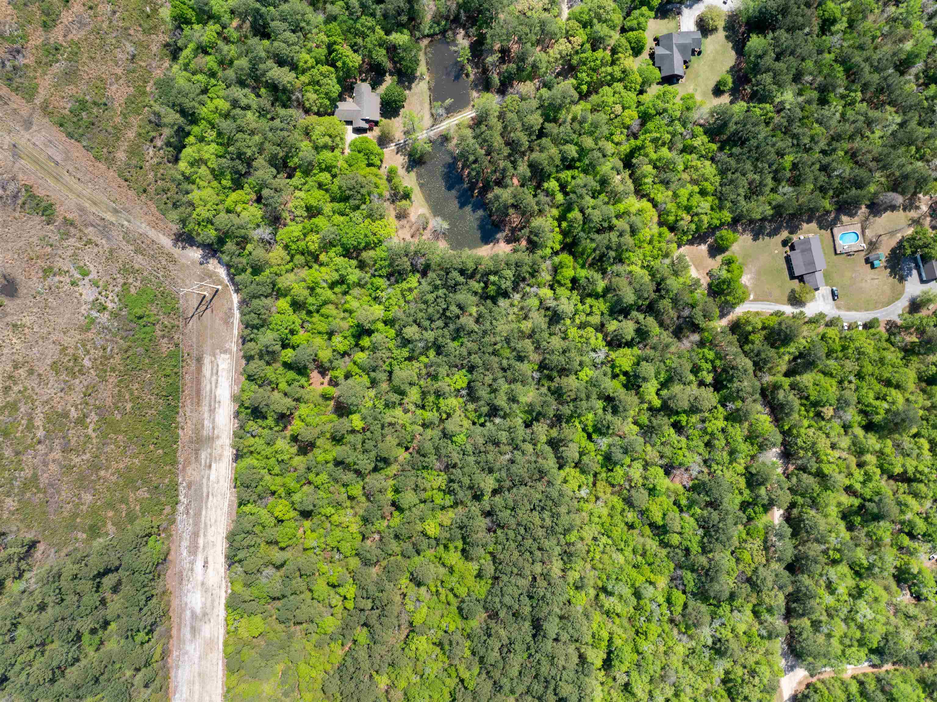 4 Forest Place Marion, SC 29571 - Photo 4 of 13