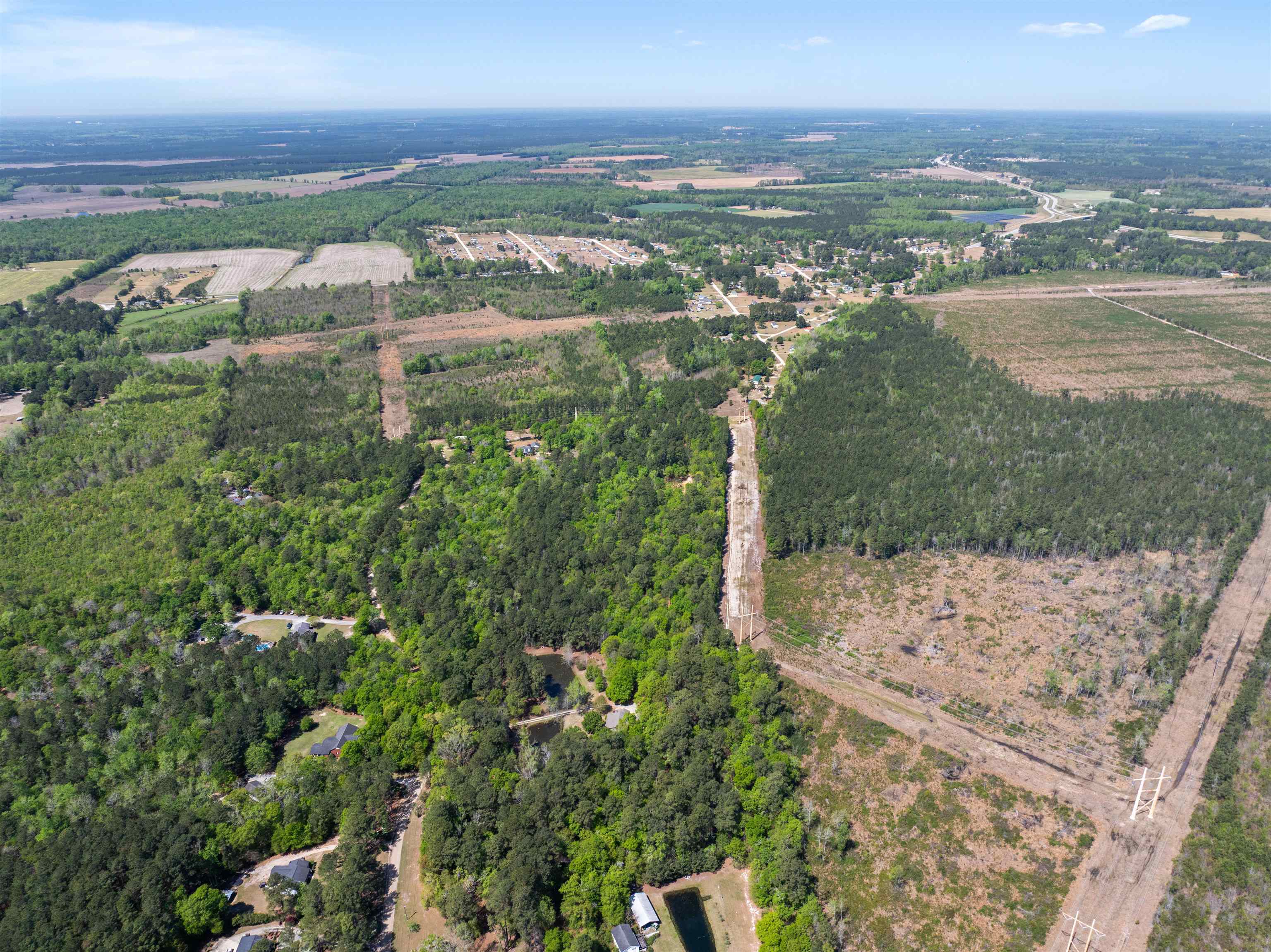 4 Forest Place Marion, SC 29571 - Photo 8 of 13