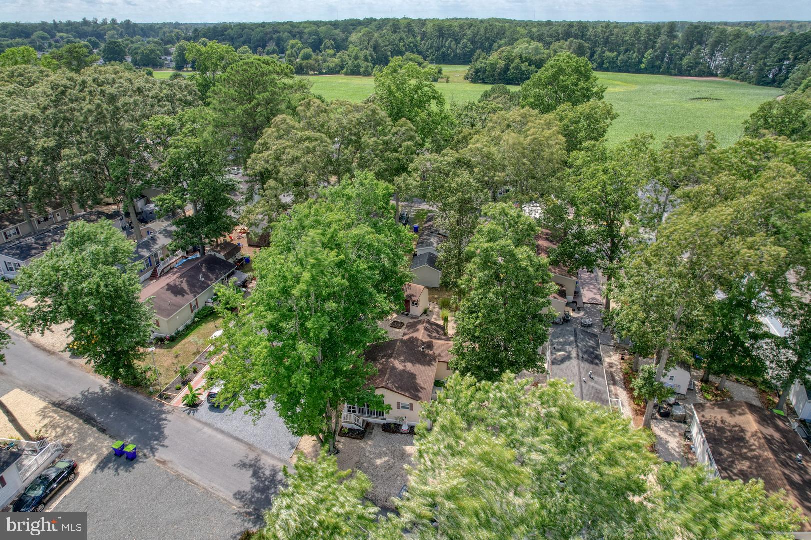 25780 Blue Ridge Street, Unit 4198 Millsboro, DE 19966 - Photo 3 of 36 an aerial view of residential house with outdoor space and trees all around