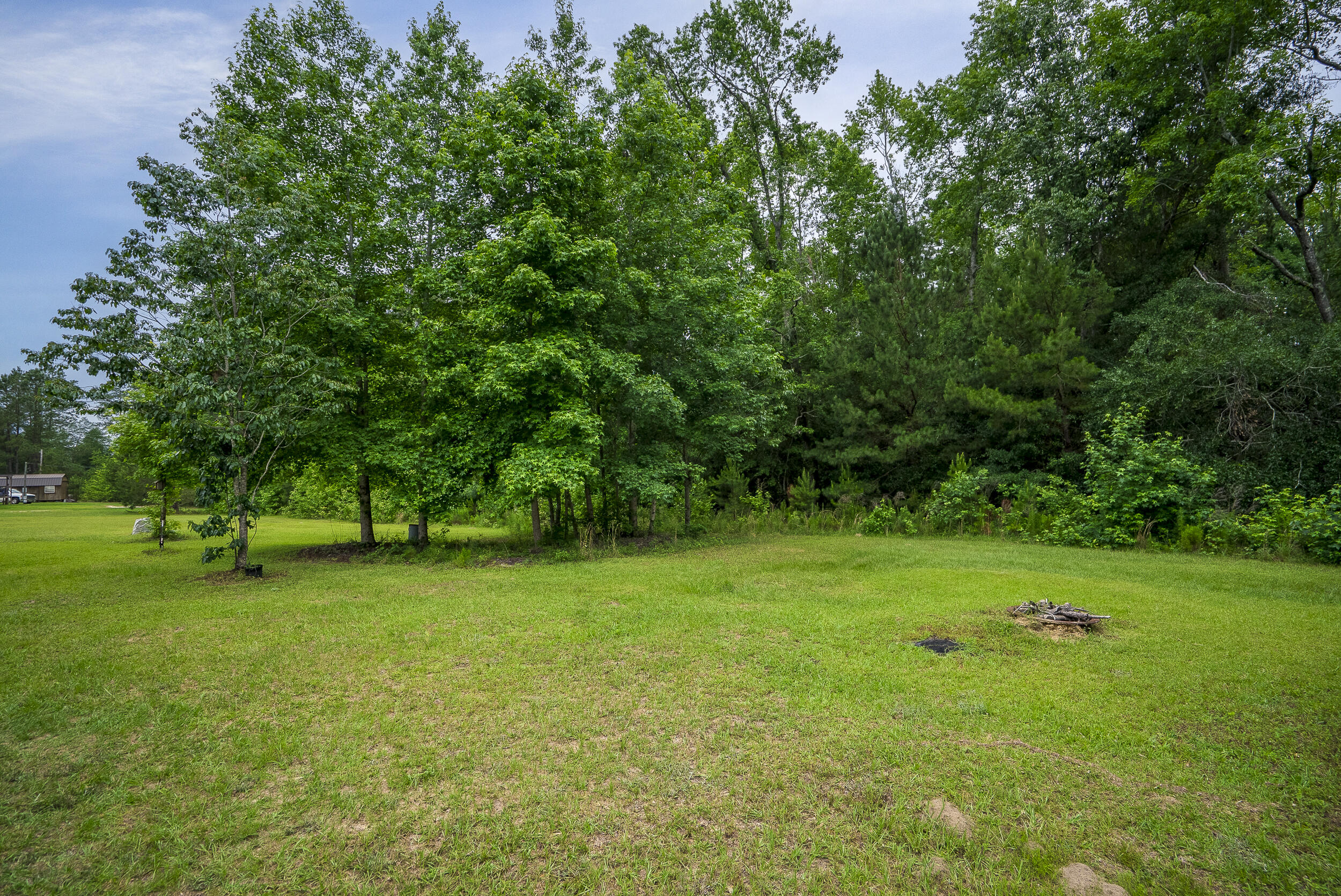 5220 Festival Trail Road Salley, SC 29137 - Photo 33 of 46 ©MeghannPadgett_5220FestivalTrailRd-36