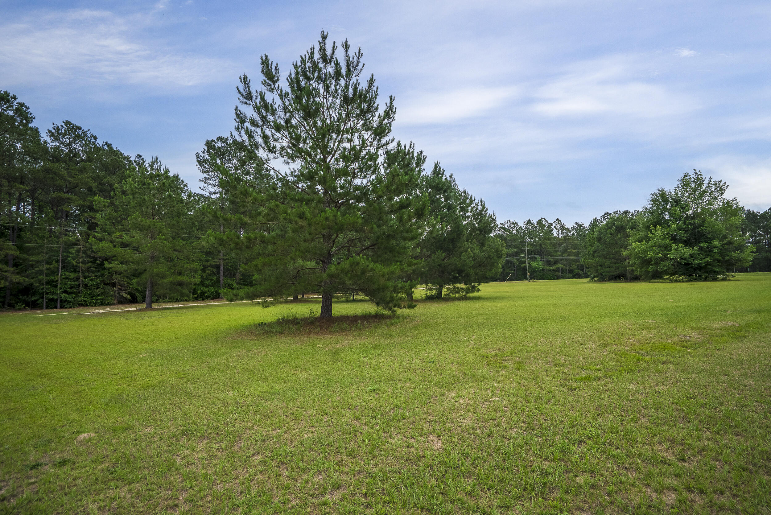 5220 Festival Trail Road Salley, SC 29137 - Photo 5 of 46 ©MeghannPadgett_5220FestivalTrailRd-5