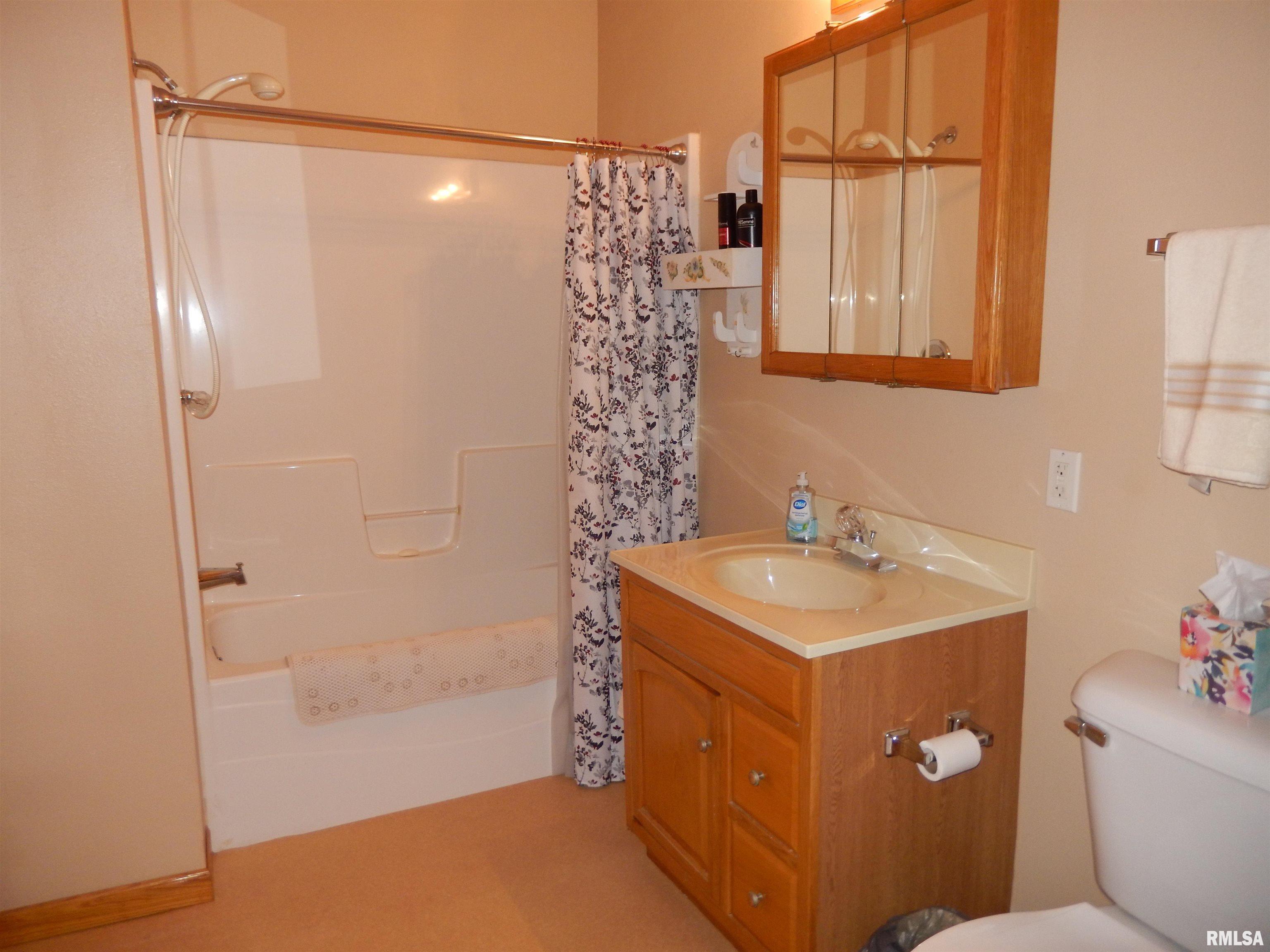 418 North Rile Street Bushnell, IL 61422 - Photo 26 of 54