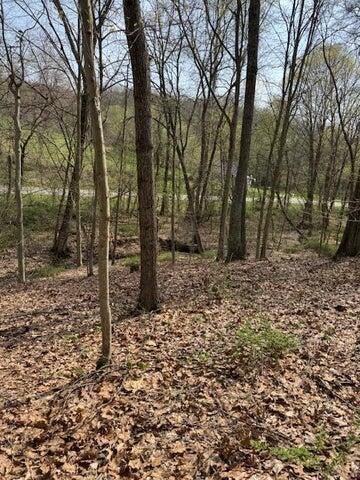 0 Walnut Dowler Road Logan, OH 43138 - Photo 7 of 12 7