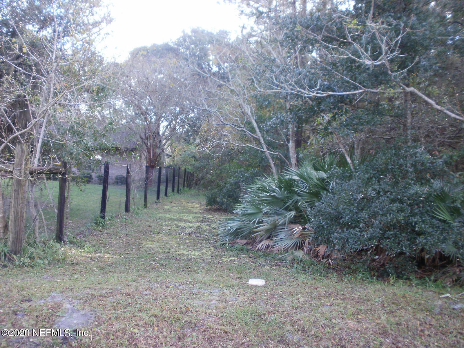2259 Cortez Road Jacksonville, FL 32246 - Photo 6 of 8 a backyard of a house with lots of green space and plants