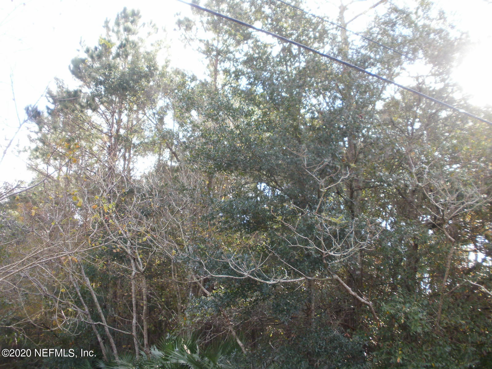 2259 Cortez Road Jacksonville, FL 32246 - Photo 7 of 8