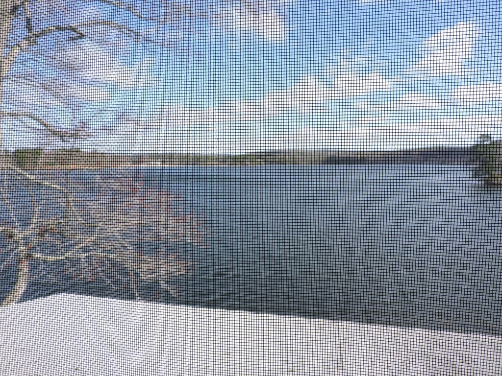 67 Birch Island Road Webster, MA 01570 - Photo 31 of 42 Gallery Image 31