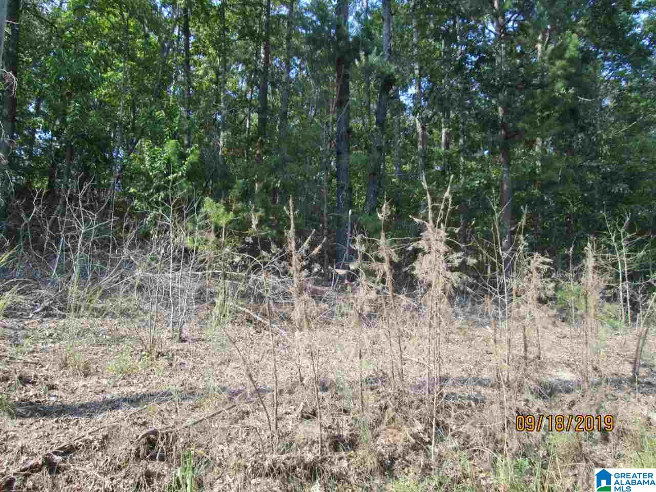 86 Red Valley Circle Remlap, AL 35133 - Photo 41 of 46