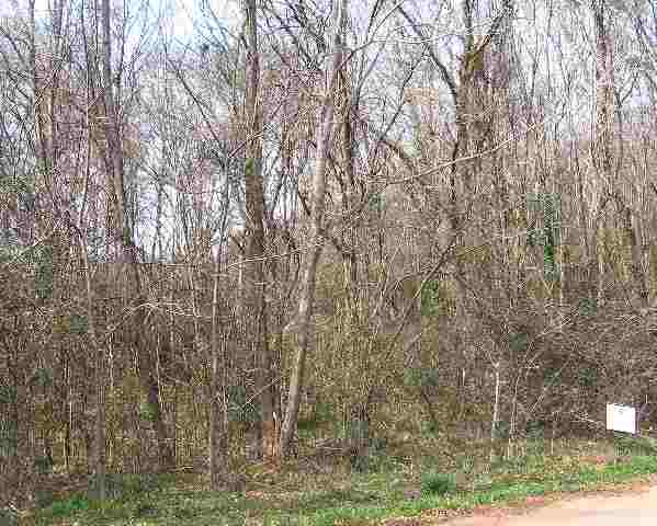 Lot 31 Thompson Street Pendleton, SC 29670 - Photo 1 of 2