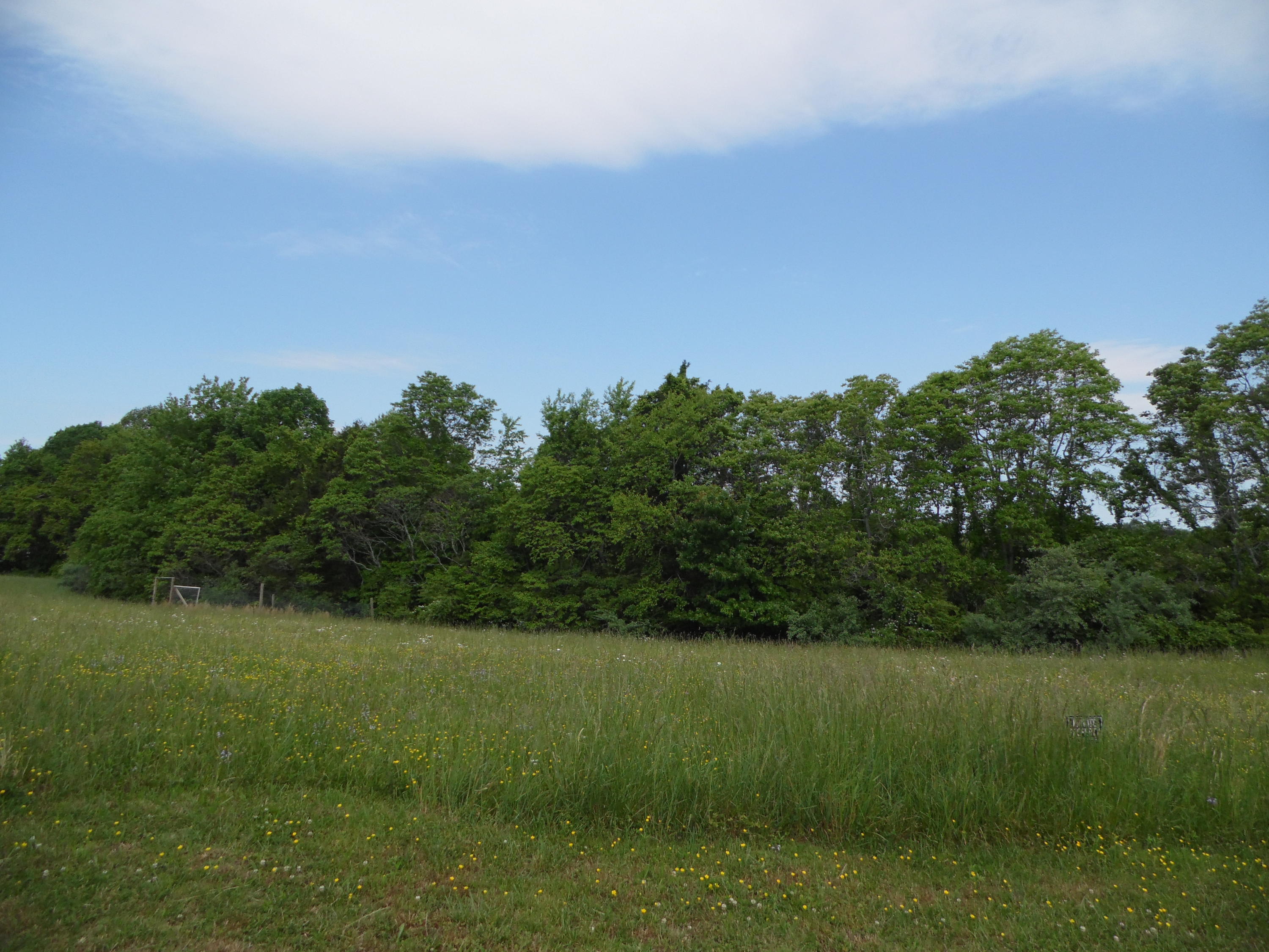2849 Pinecrest Road Jacksboro, TN 37757 - Photo 17 of 26 property
