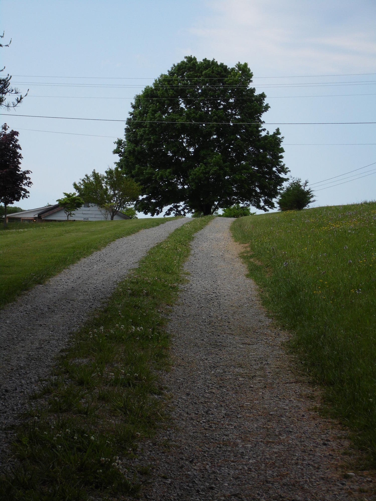 2849 Pinecrest Road Jacksboro, TN 37757 - Photo 21 of 26 Driveway