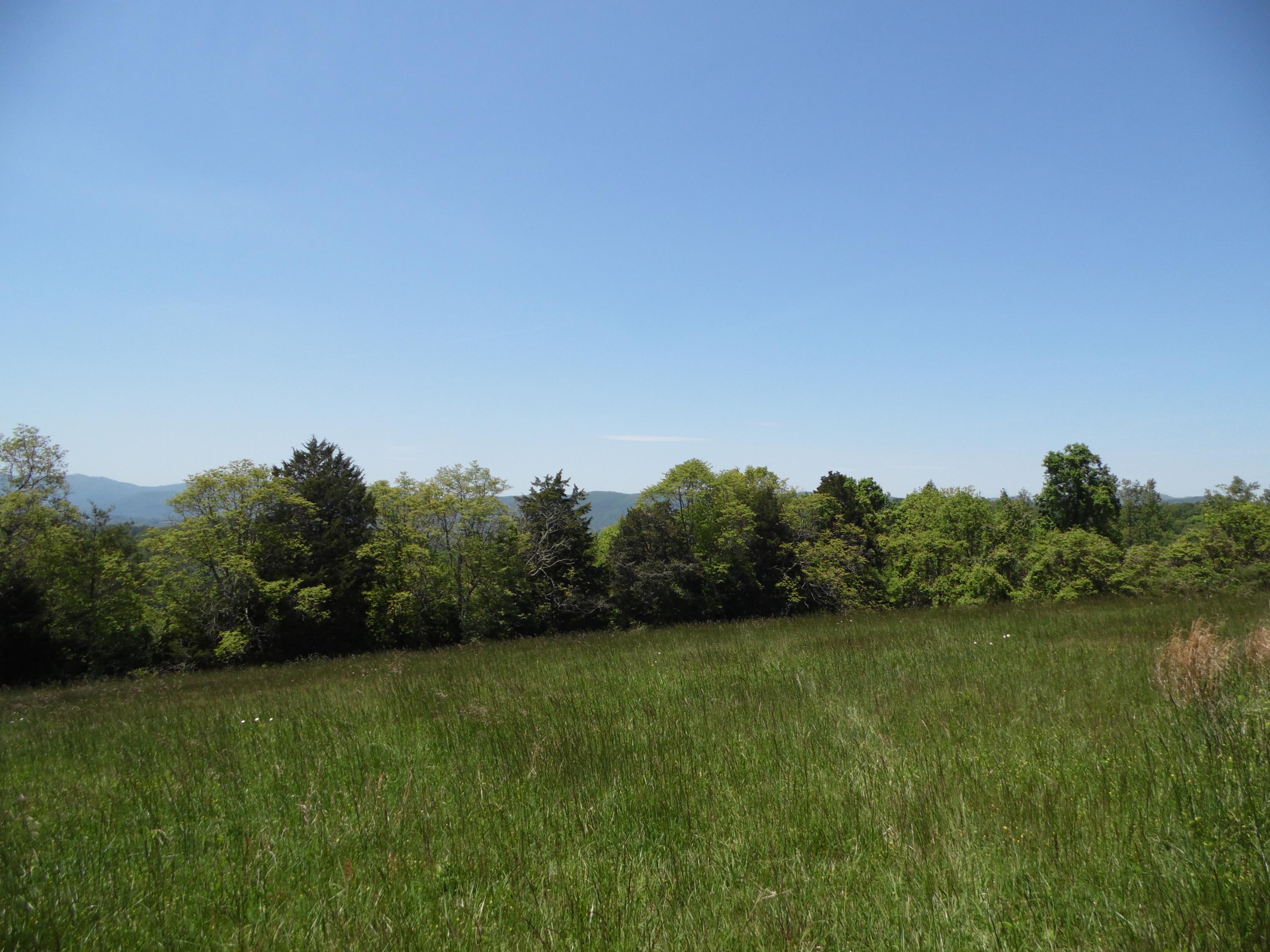 2849 Pinecrest Road Jacksboro, TN 37757 - Photo 22 of 26 property
