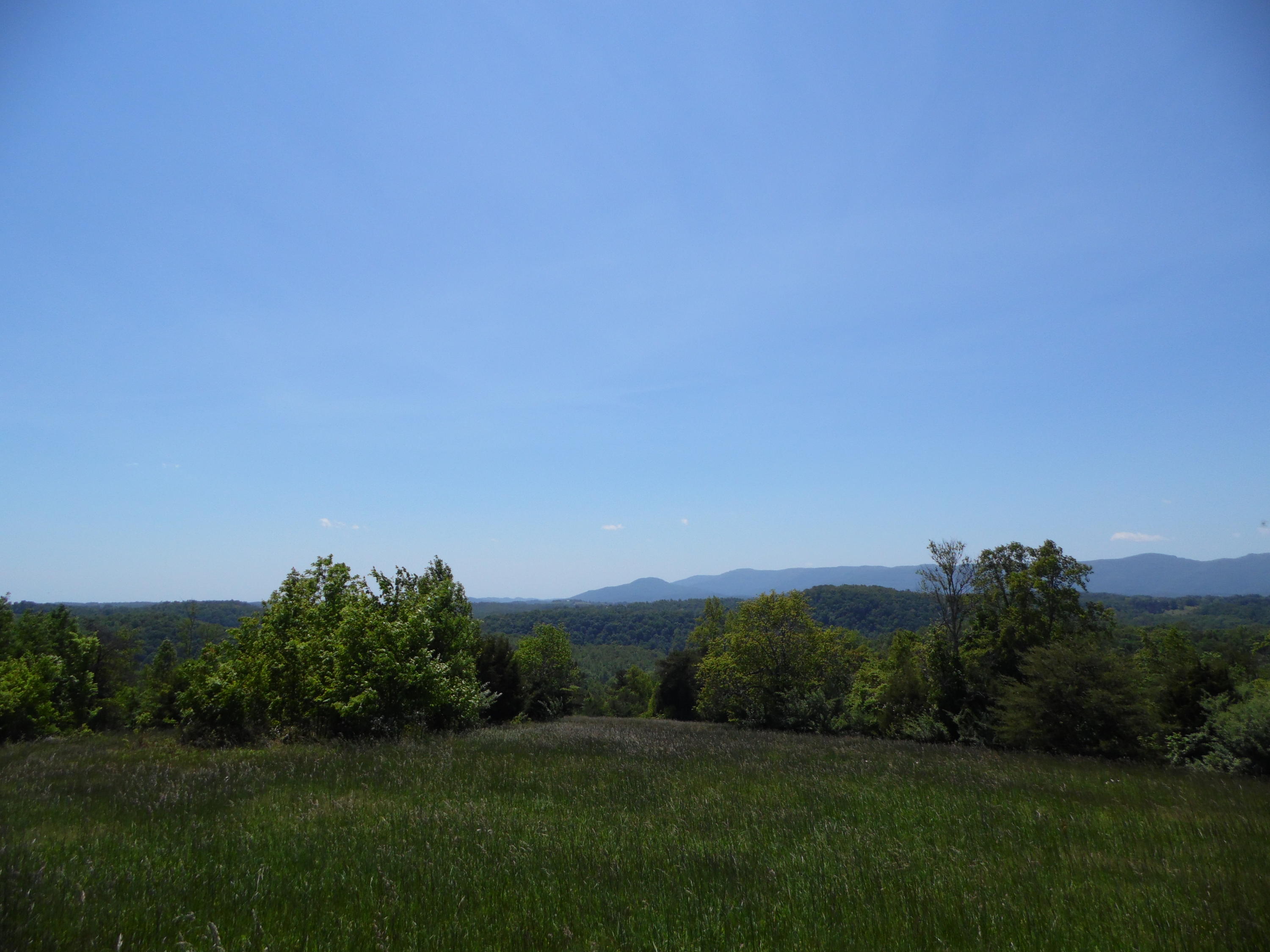2849 Pinecrest Road Jacksboro, TN 37757 - Photo 23 of 26 property