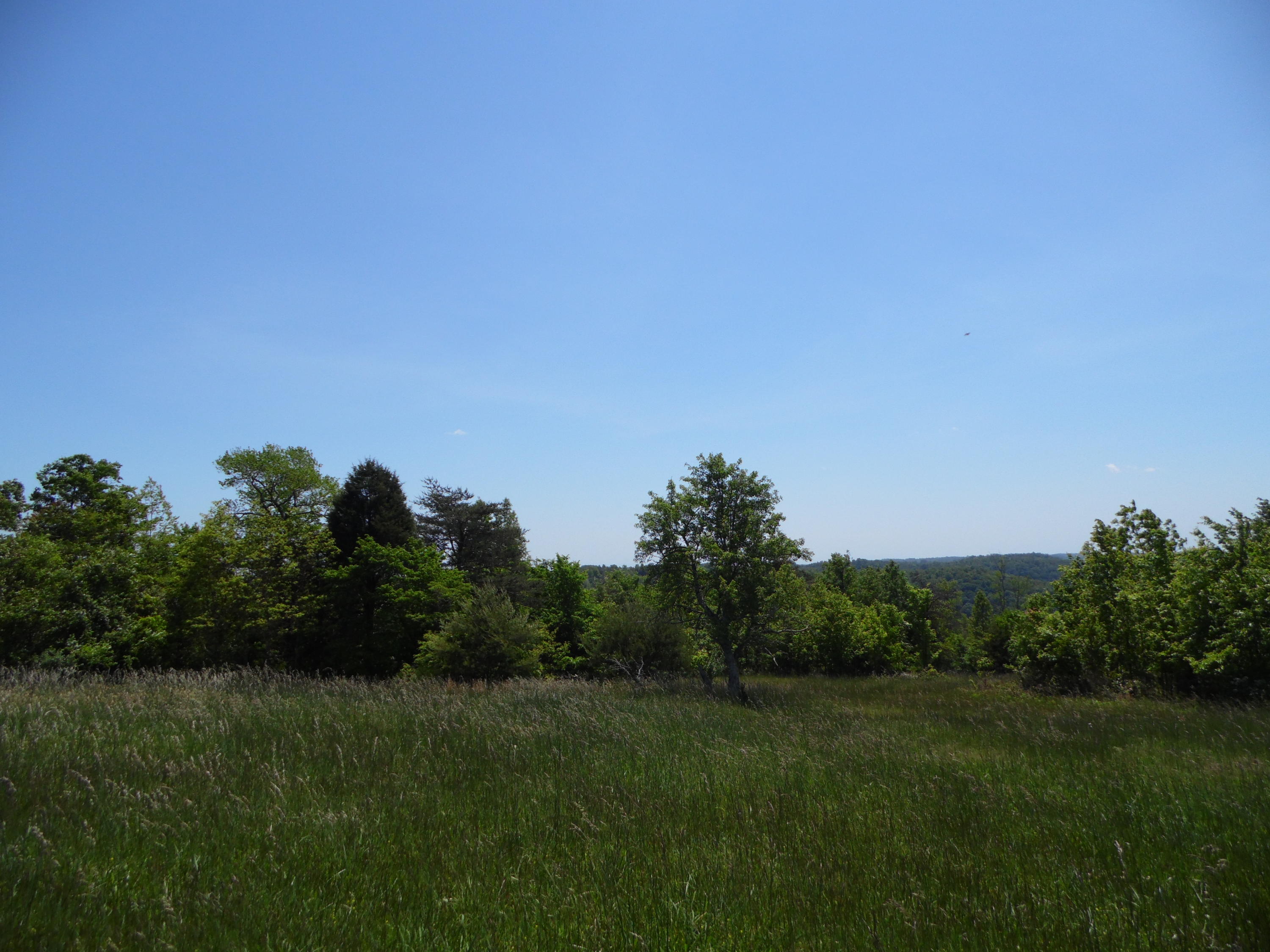 2849 Pinecrest Road Jacksboro, TN 37757 - Photo 24 of 26 property