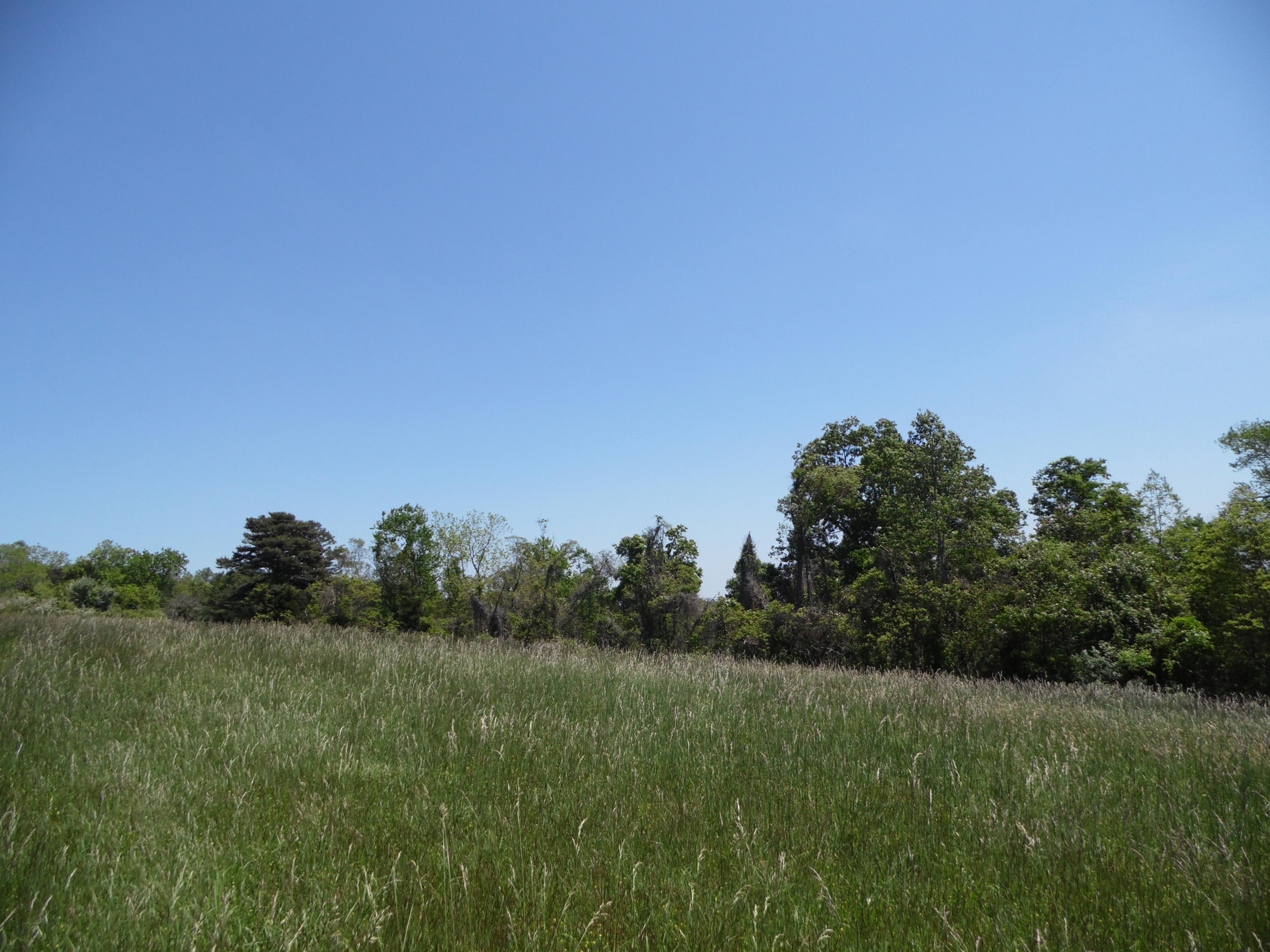 2849 Pinecrest Road Jacksboro, TN 37757 - Photo 26 of 26 property