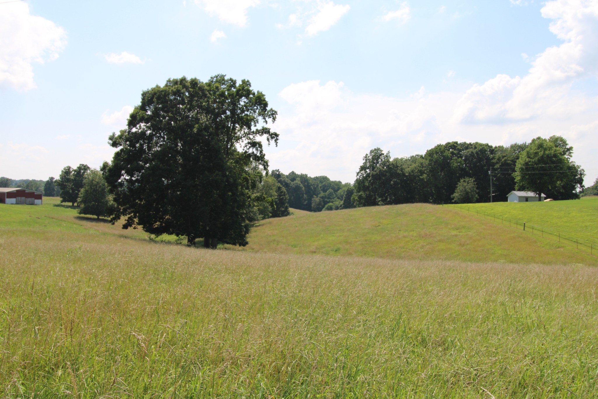 18 Galen Road Lafayette, TN 37083 - Photo 1 of 6