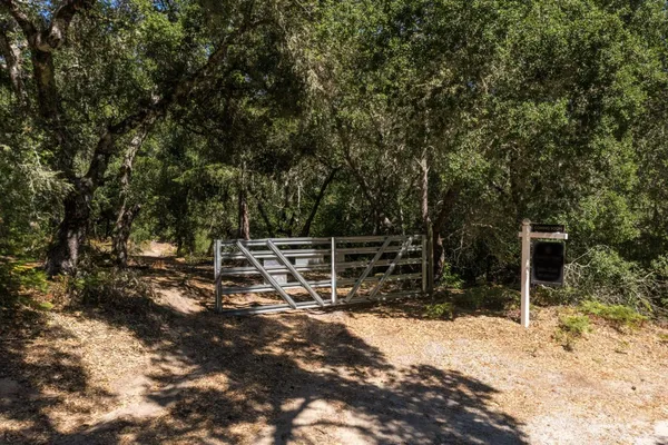a view of a backyard with wooden fence and a large tree