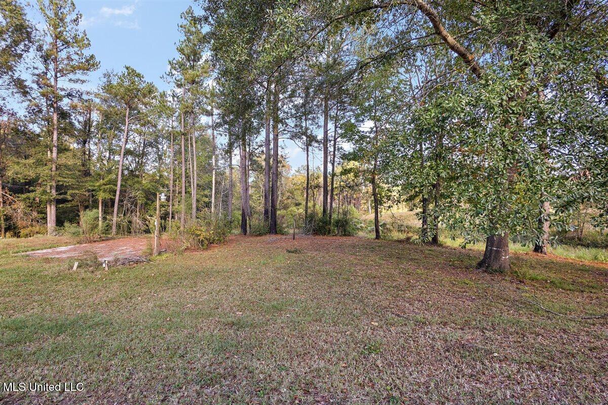 820 Memorial Drive Braxton, MS 39044 - Photo 24 of 24 21-3HTP7753