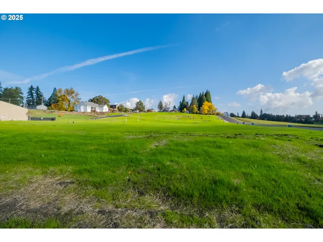 an aerial view of a residential houses with outdoor space and mountain view