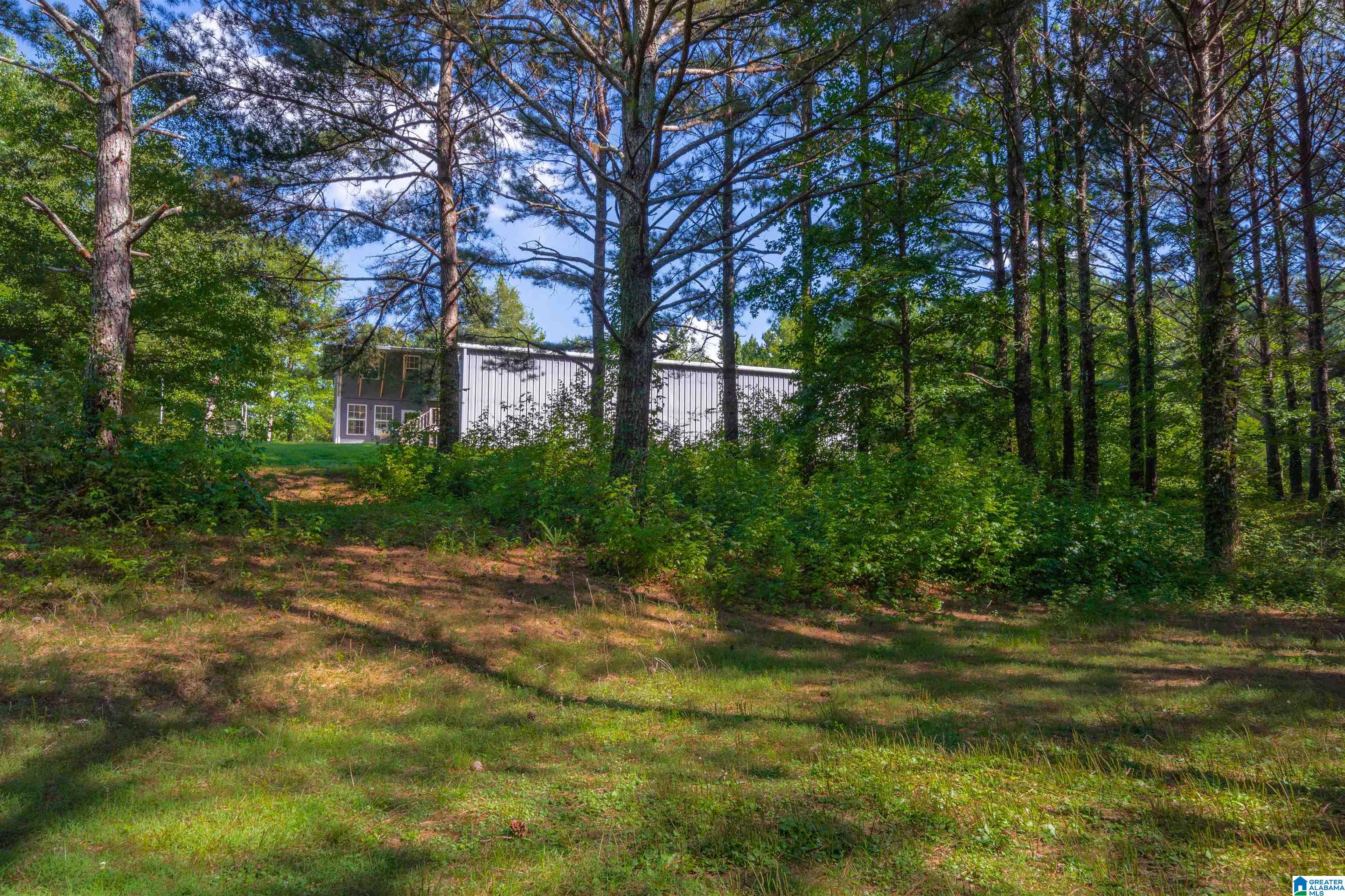 1031 Reneau Road Oneonta, AL 35121 - Photo 41 of 50