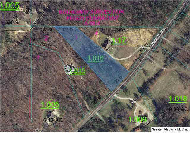 0 Village Springs Road, Unit 3 27 Springville, AL 35146 - Photo 2 of 2
