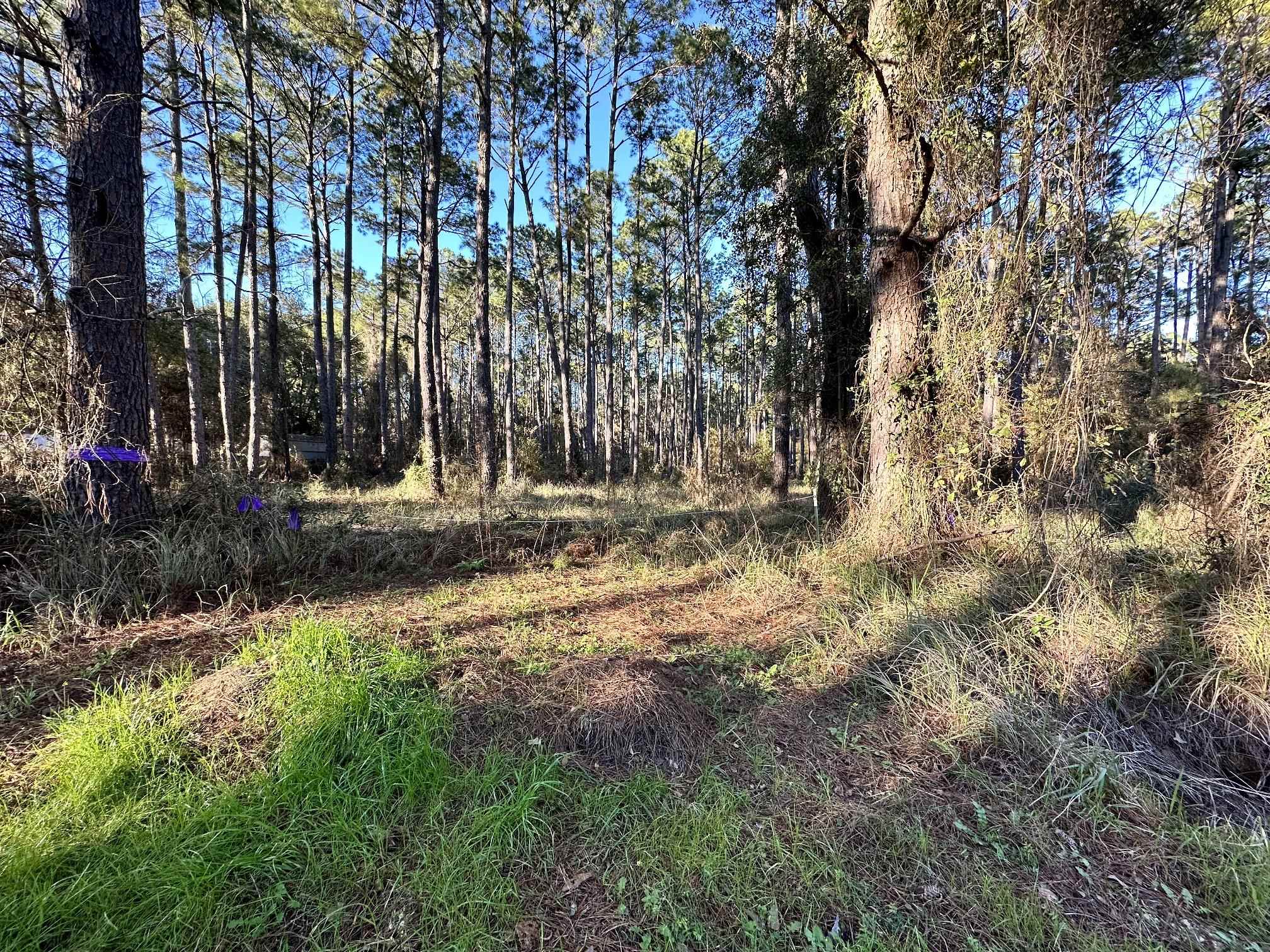 12153 Kenner Road Foley, AL 36535 - Photo 4 of 8