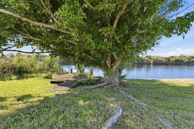 a view of a lake with a garden