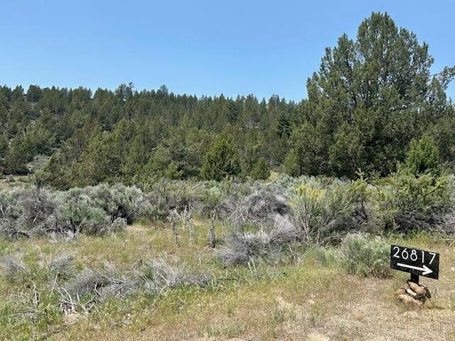 Lassen Street Chiloquin, OR 97624 - Photo 2 of 3 IMG_8393