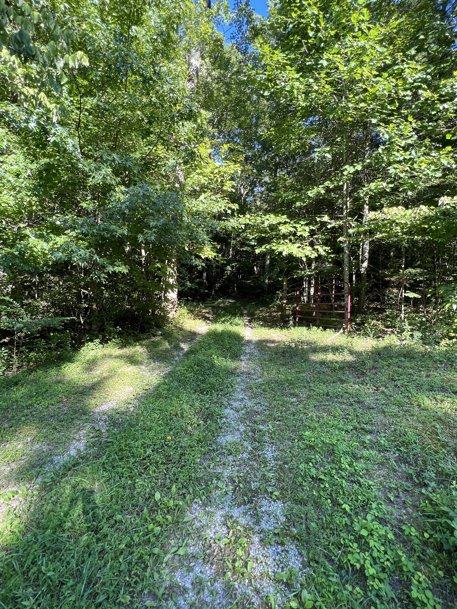 361 Bear Hollow Road Oneida, TN 37841 - Photo 1 of 9