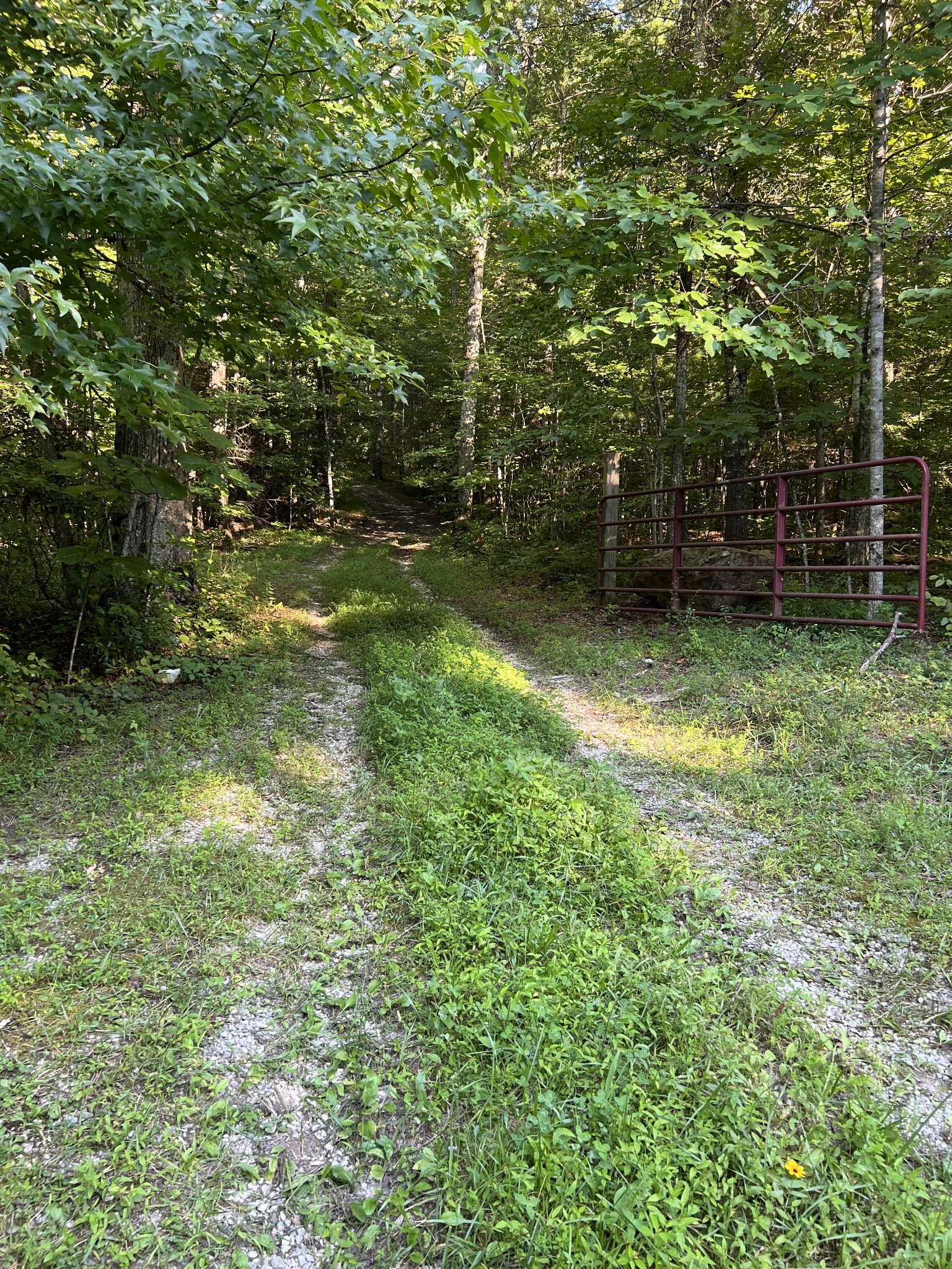 361 Bear Hollow Road Oneida, TN 37841 - Photo 5 of 9