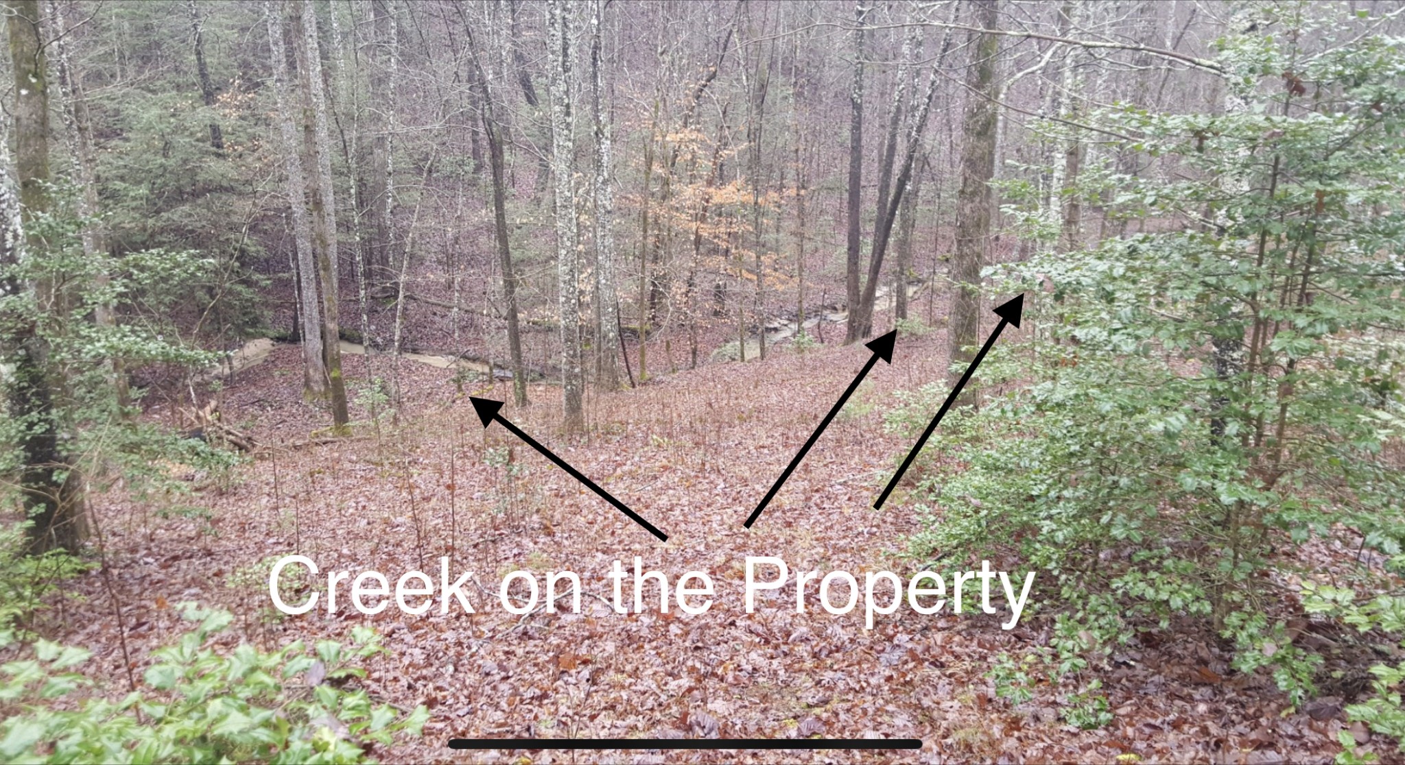 361 Bear Hollow Road Oneida, TN 37841 - Photo 8 of 9