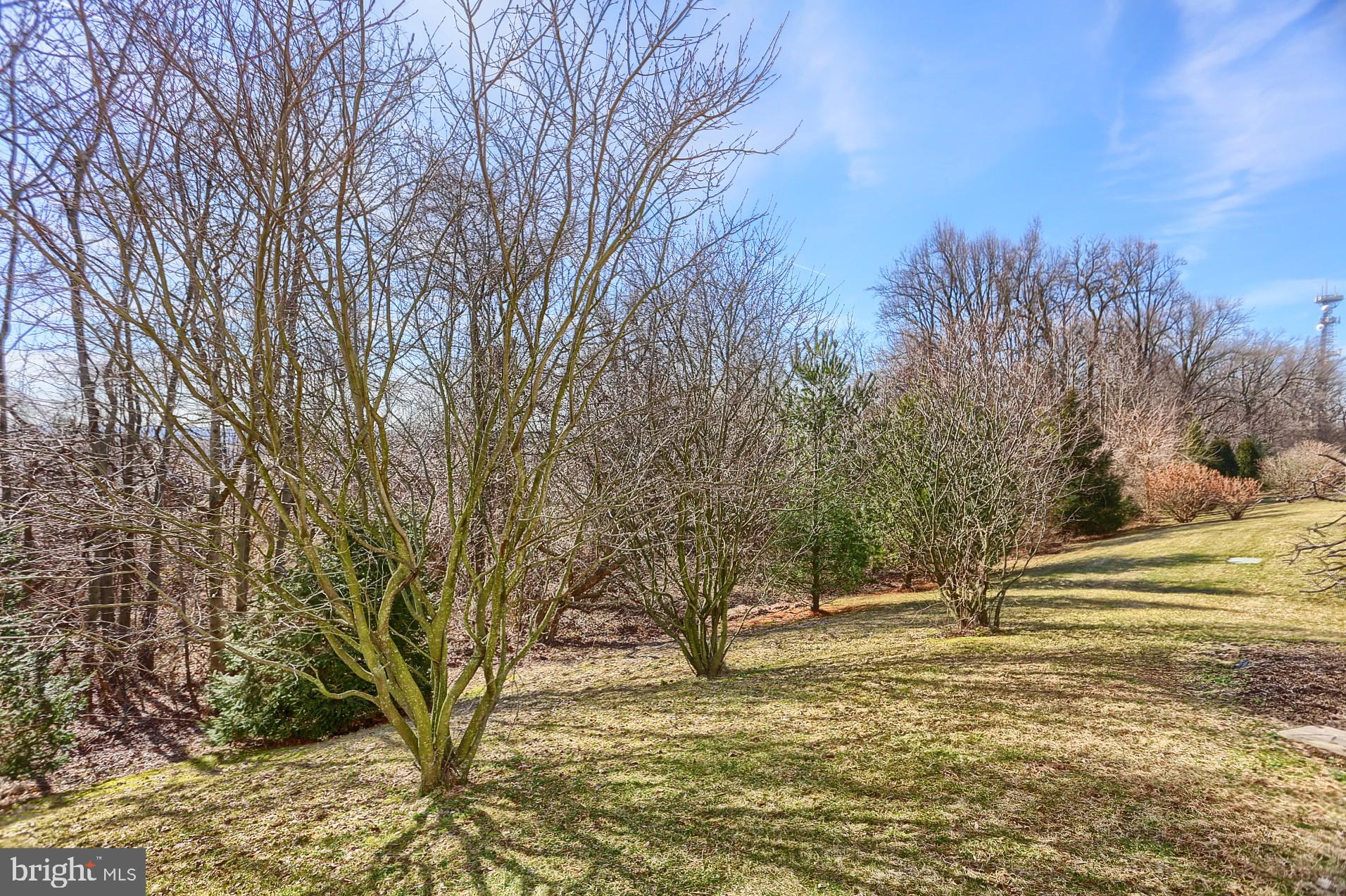 1304 Dawman Road Coatesville, PA 19320 - Photo 8 of 60 Gallery Image 8