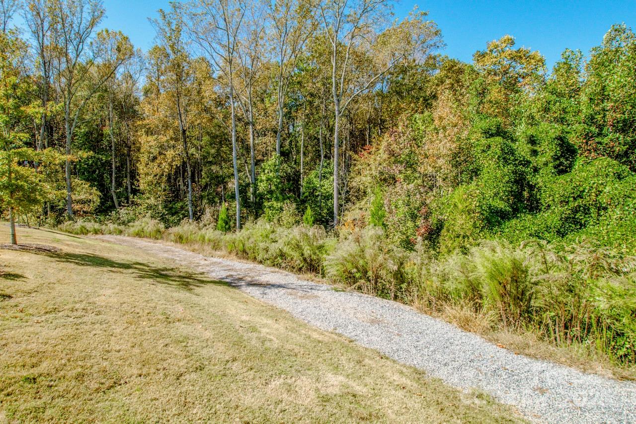 1270 Brawley School Road, Unit F Mooresville, NC 28117 - Photo 46 of 47 a view of a yard with a tree