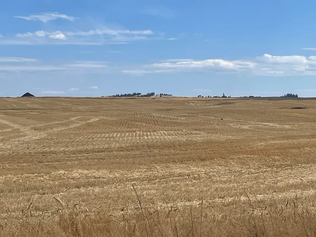 $150,000 | 35251 Crescent N Road, Unit PARCEL 5, Reardan, WA 99029