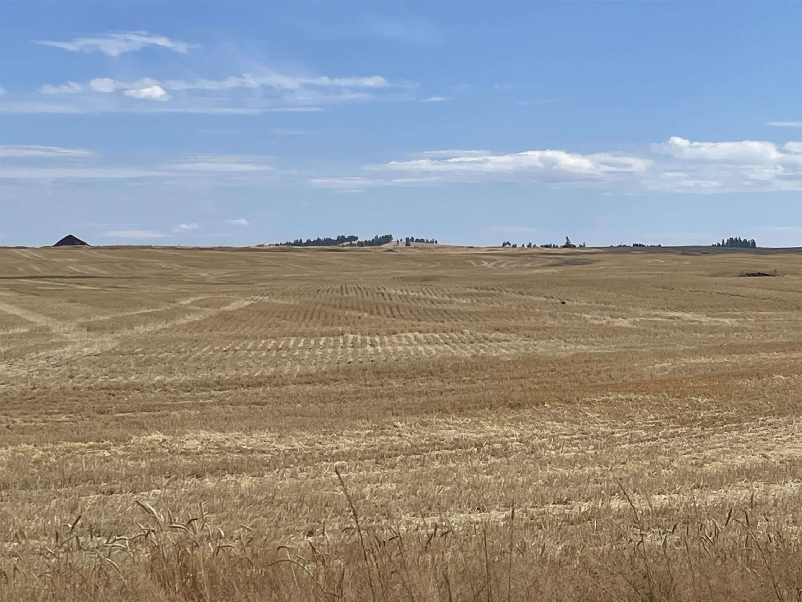 35251 Crescent N Road, Unit PARCEL 5 Reardan, WA 99029 - Photo 11 of 15