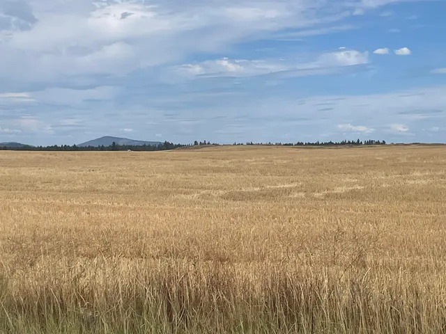 $150,000 | 35251 Crescent N Road, Unit PARCEL 5, Reardan, WA 99029