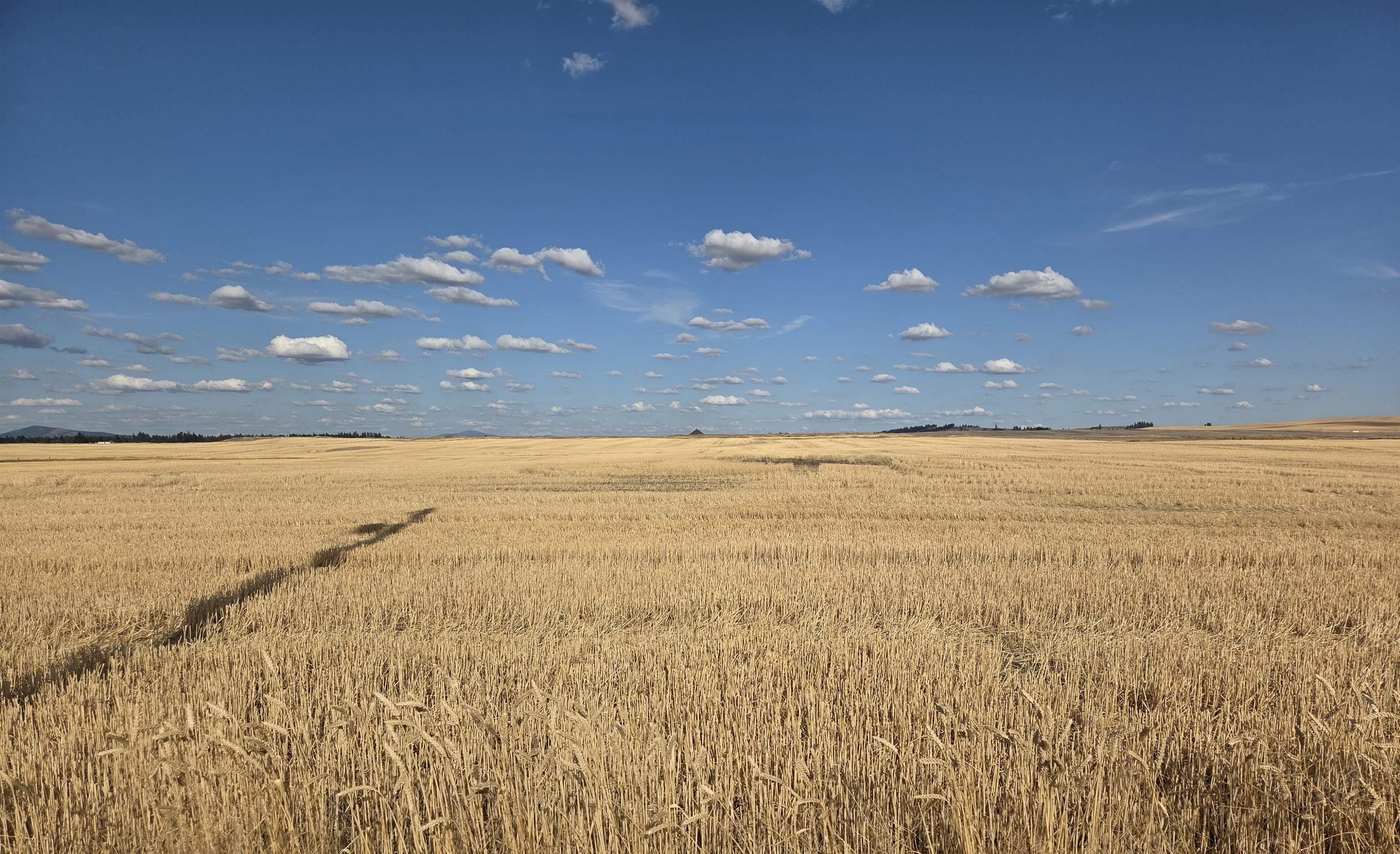 35251 Crescent N Road, Unit PARCEL 5 Reardan, WA 99029 - Photo 7 of 15