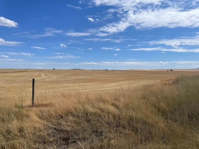 $150,000 | 35251 Crescent N Road, Unit PARCEL 5, Reardan, WA 99029