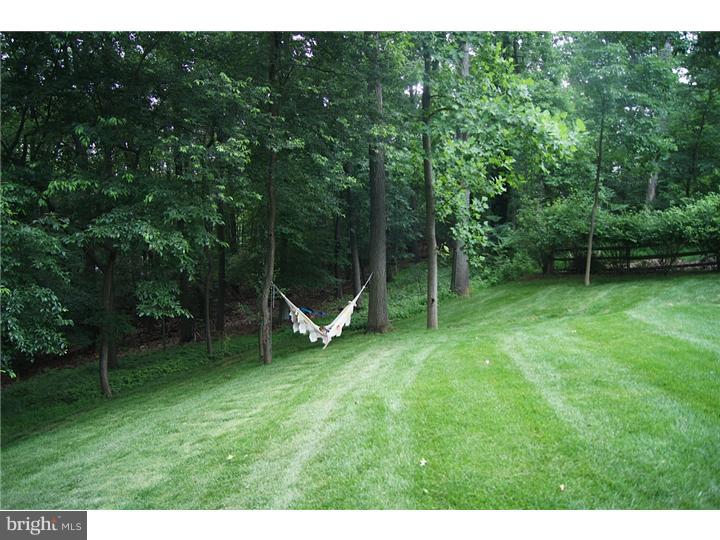 658 Knox Road Wayne, PA 19087 - Photo 24 of 25 a view of a park with a slide